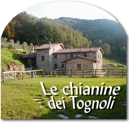 Le Chianine Dei Tognoli Gragnola Ngoại thất bức ảnh